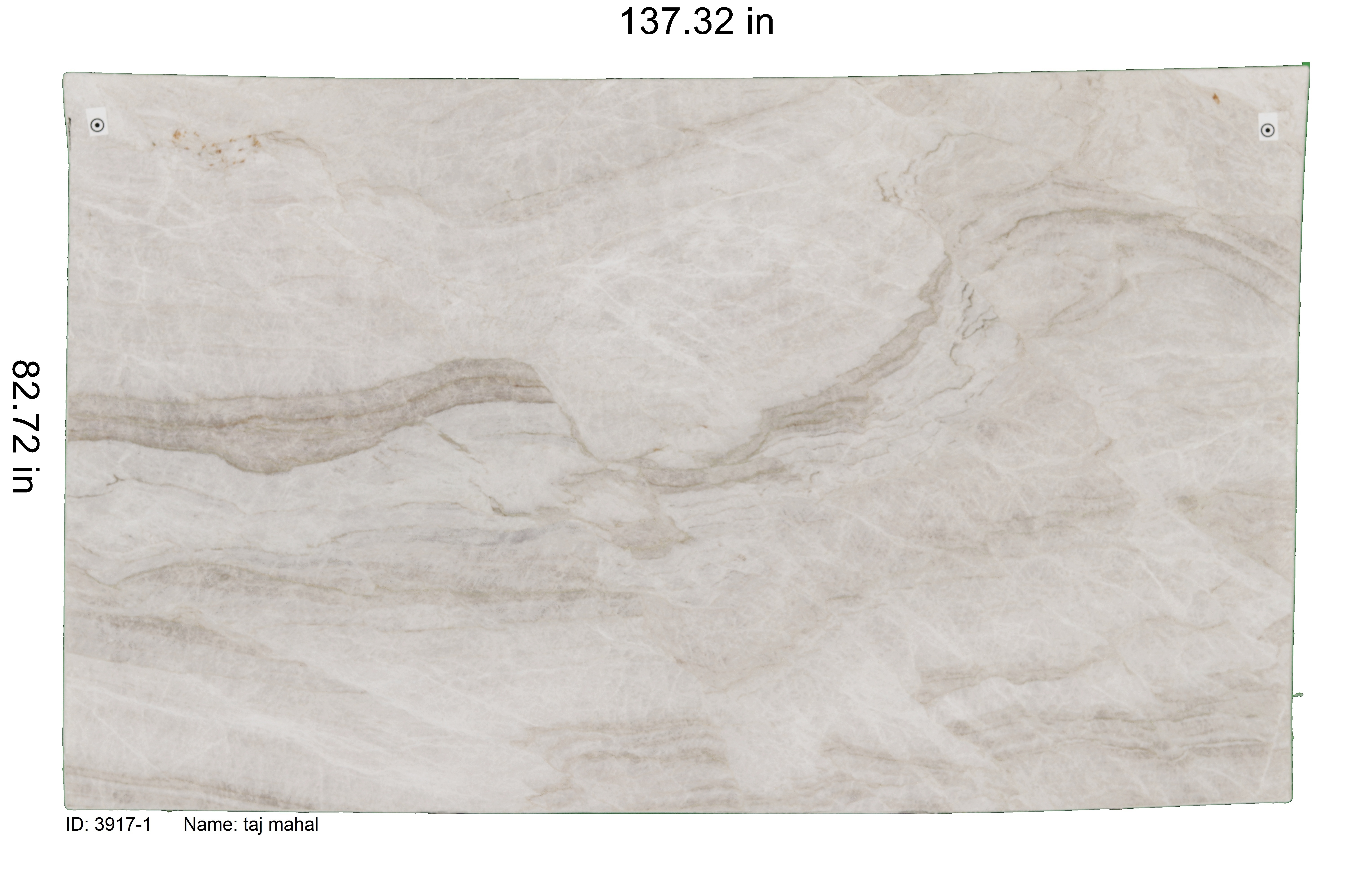 Close-up of a Taj Mahal quartzite slab showing its soft cream tones and subtle flowing veining. Taj Mahal quartzite by Granite Guy Inc.