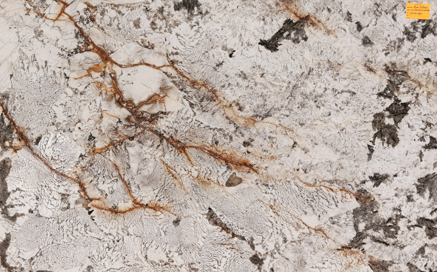 Bianco Alpinus granite countertops with white, gray, and gold accents, perfect for kitchen countertops, vanities, and fireplaces by Granite Guy Inc.