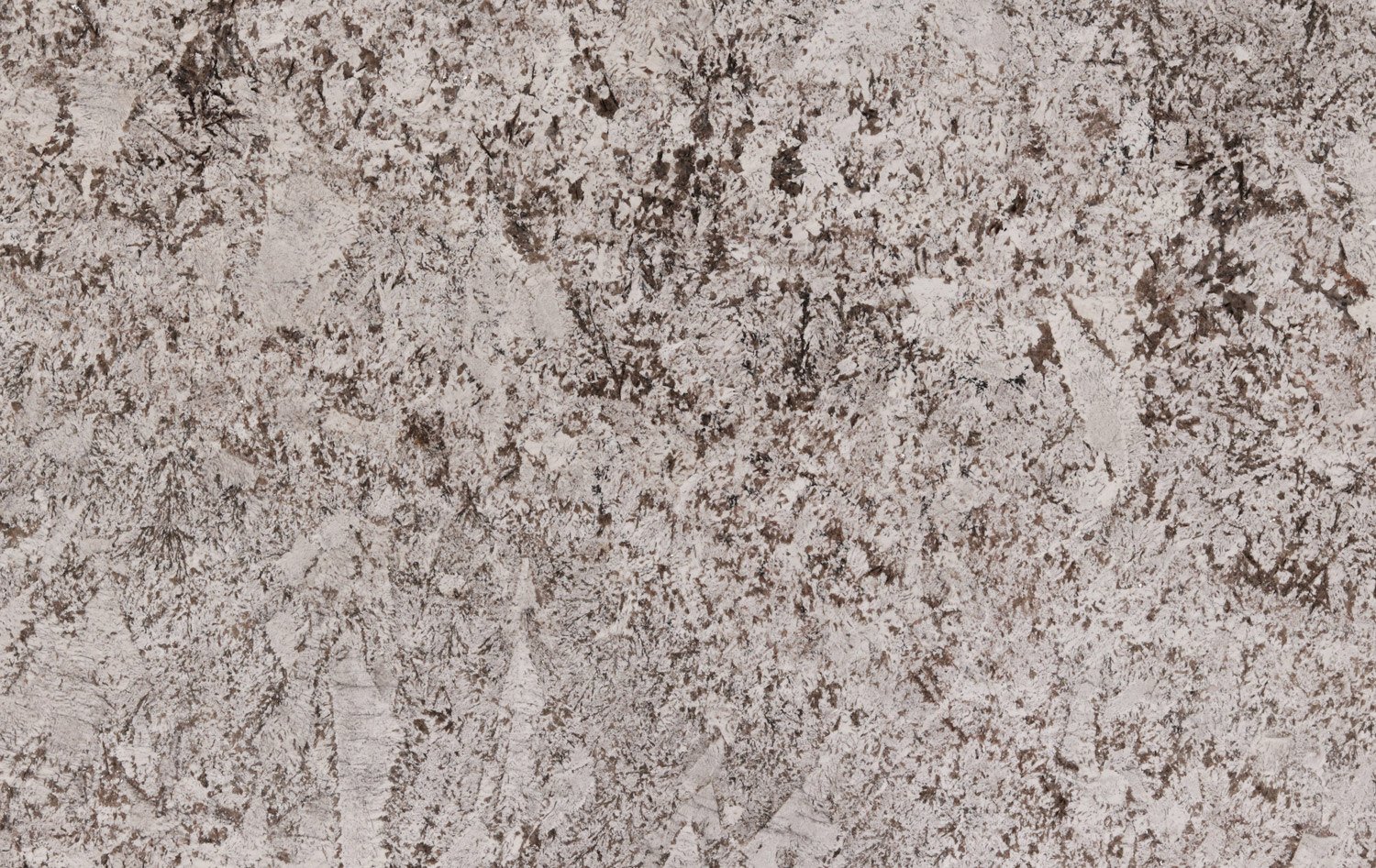 Bianco Antico granite countertops with white and gray tones and soft brown accents, perfect for kitchen countertops, vanities, and fireplaces by Granite Guy Inc.