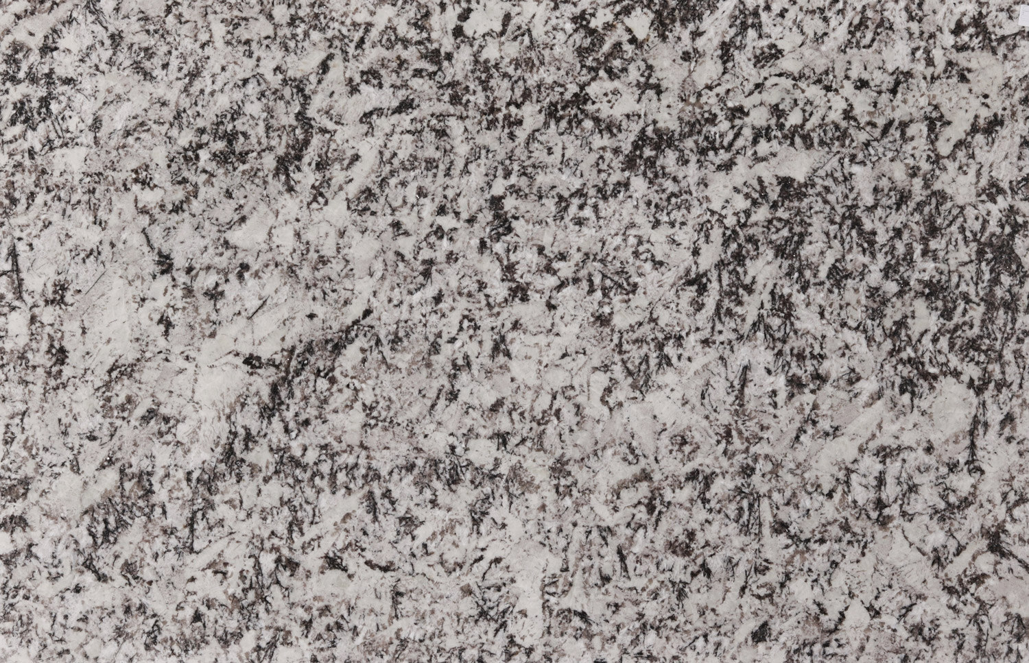 Delicatus White granite countertops with bold black and white patterns, perfect for kitchen countertops and vanities by Granite Guy Inc.