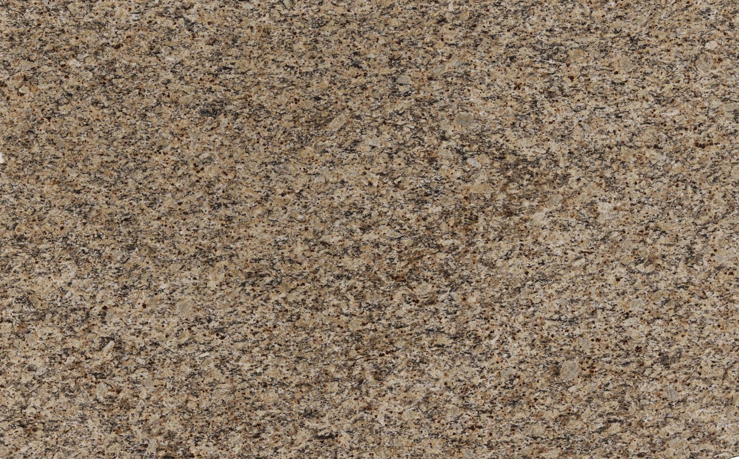 Santa Cecilia granite countertops with warm beige and brown tones, perfect for kitchen countertops by Granite Guy Inc.