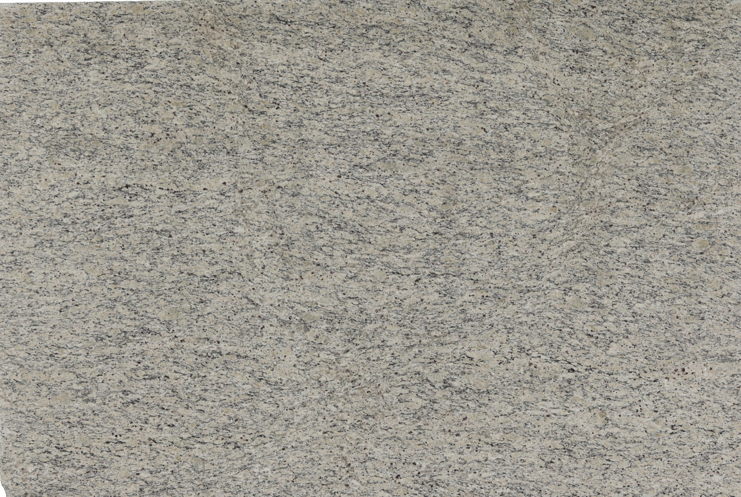 Santa Cecilia Light granite countertops with soft beige and gray tones, ideal for kitchen countertops by Granite Guy Inc.