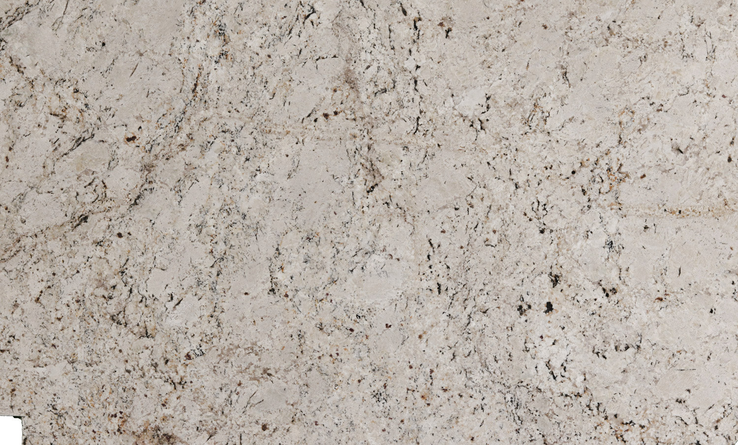 Snow Fall granite countertops with a light cream base and intricate dark speckles, perfect for kitchen countertops by Granite Guy Inc.