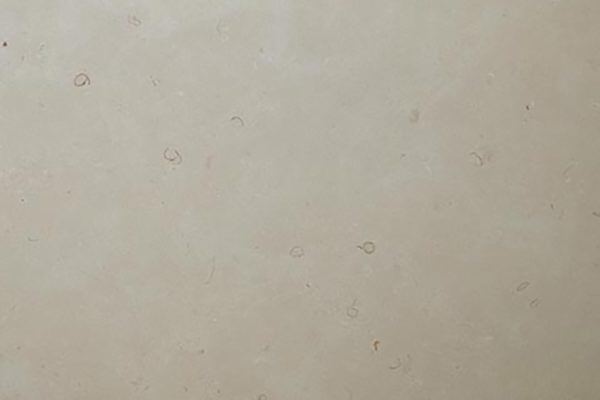 Limestone Biancone countertops in a soft beige tone with scattered fossil markings, great for kitchen countertops. Limestone by Granite Guy Inc.