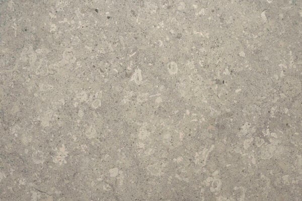 Limestone Grigio Alpi countertops in a soft gray tone with fossil-rich pattern, great for kitchen countertops. Limestone by Granite Guy Inc.