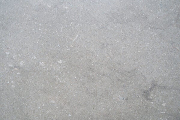 Limestone Grigio Fossil countertops in a soft gray tone with scattered fossil inclusions, great for kitchen countertops. Limestone by Granite Guy Inc.