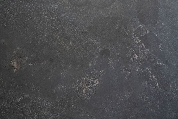 Limestone London Black countertops with dark charcoal tone and scattered fossil highlights, great for kitchen countertops. Limestone by Granite Guy Inc.