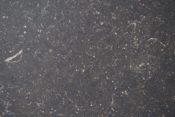 Limestone Petit Granit Honed countertops in a deep charcoal tone with visible fossil accents, great for kitchen countertops. Limestone by Granite Guy Inc.