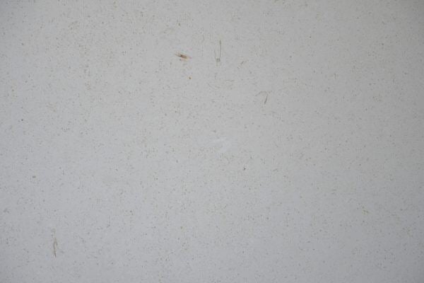Limestone Supai Honed countertops in a pale gray tone with fine speckling, great for kitchen countertops. Limestone by Granite Guy Inc.