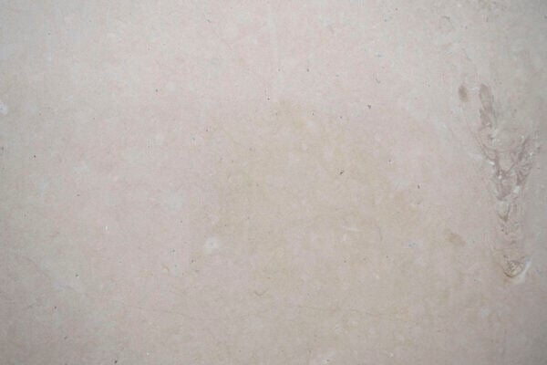 Limestone Thala Beige countertops in a light beige tone with subtle fossil imprint, great for kitchen countertops. Limestone by Granite Guy Inc.
