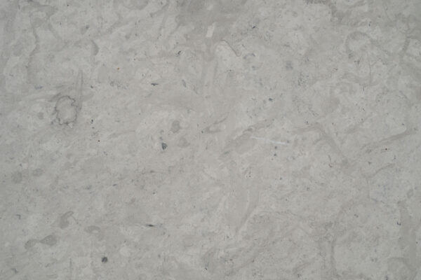 Limestone Thala Grey countertops in a soft gray tone with scattered shell fossils, great for kitchen countertops. Limestone by Granite Guy Inc.