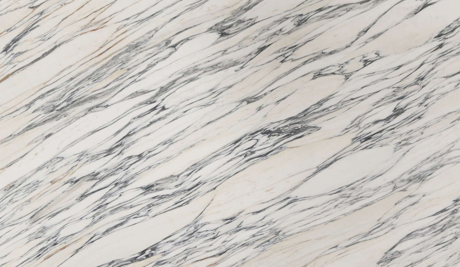 Arabescatto Corchia marble countertops with striking black and gray veining on white, perfect for kitchen countertops by Granite Guy Inc.