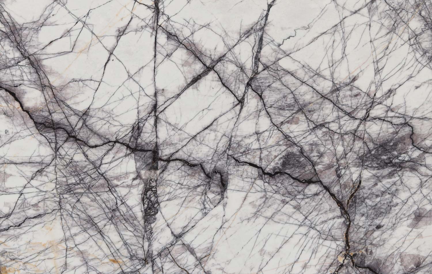Lilac marble countertops with bold dark veining on a white background, perfect for kitchen countertops and statement vanities by Granite Guy Inc.