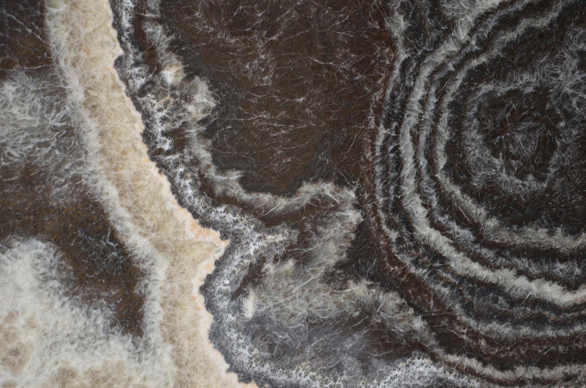 Onyx Black countertops featuring deep black and white circular patterns, bold for kitchen countertops. Onyx by Granite Guy Inc.