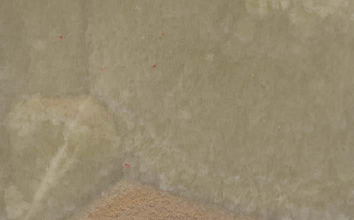 Onyx Miele al Contro countertops with warm honey tones and soft crystalline texture for kitchen countertops. Onyx by Granite Guy Inc.