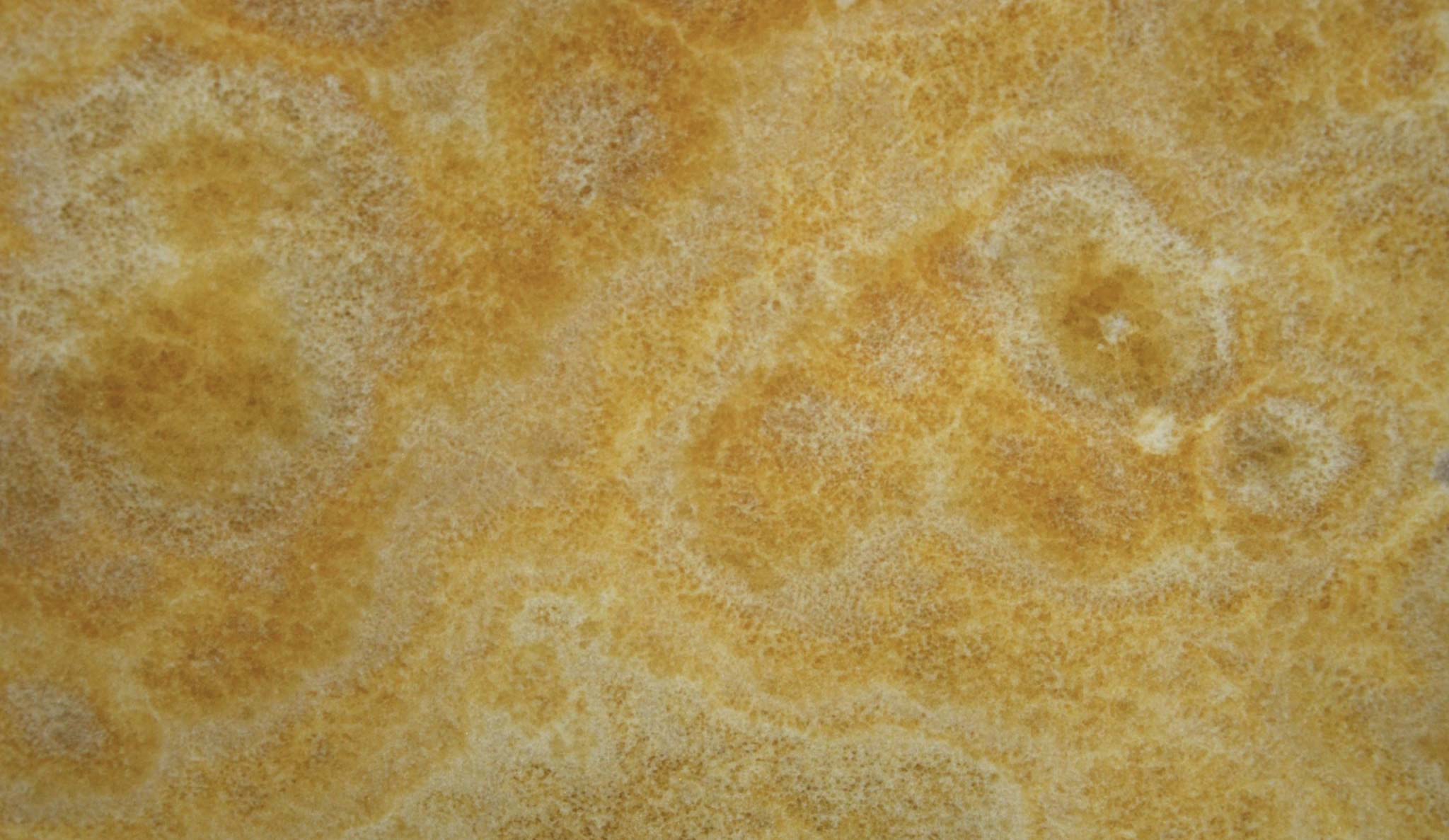 Onyx Orange countertops with golden orange swirls and cloudy textures for kitchen countertops. Onyx by Granite Guy Inc.