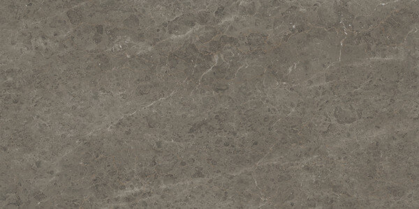 SapienStone Grigio Savelli porcelain kitchen countertops with taupe-gray base and subtle marbled texture by Granite Guy Inc.