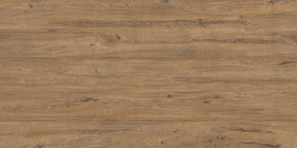 SapienStone Rovere Baio porcelain kitchen countertops with rich brown oak wood texture by Granite Guy Inc.