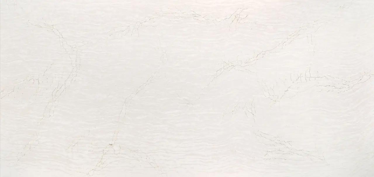 Cambria Quartz Delgatie countertops with soft white tone and delicate veining, perfect for kitchen countertops by Granite Guy Inc.