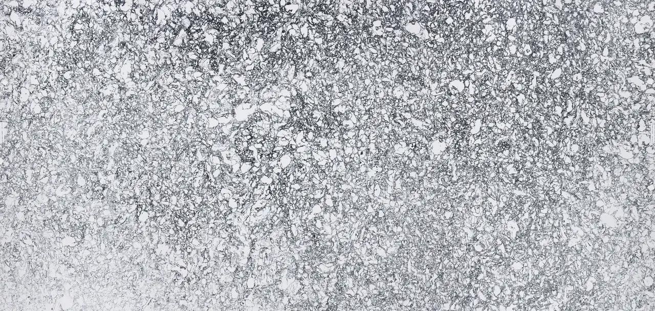 Cambria Quartz Rose Bay countertops with bold gray veining on white, perfect for kitchen countertops by Granite Guy Inc.