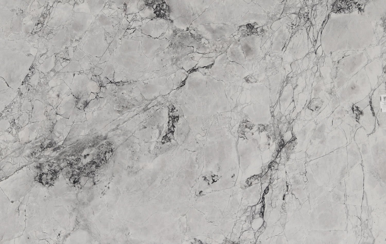 Wicked White quartzite countertops with bold dark patterns, perfect for kitchen countertops and fireplaces by Granite Guy Inc.