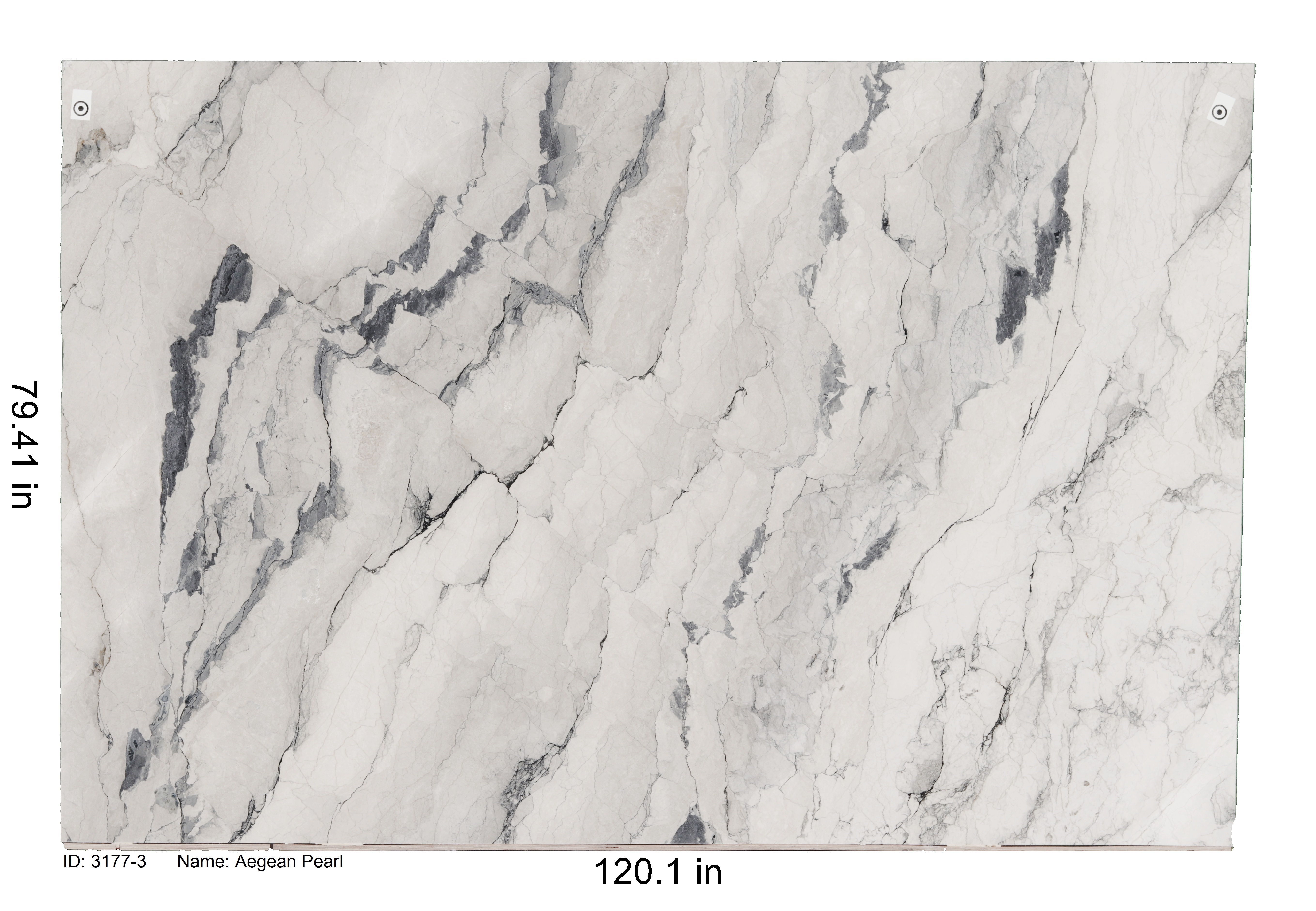 aegean-pearl-quartzite-countertops-granite-guy